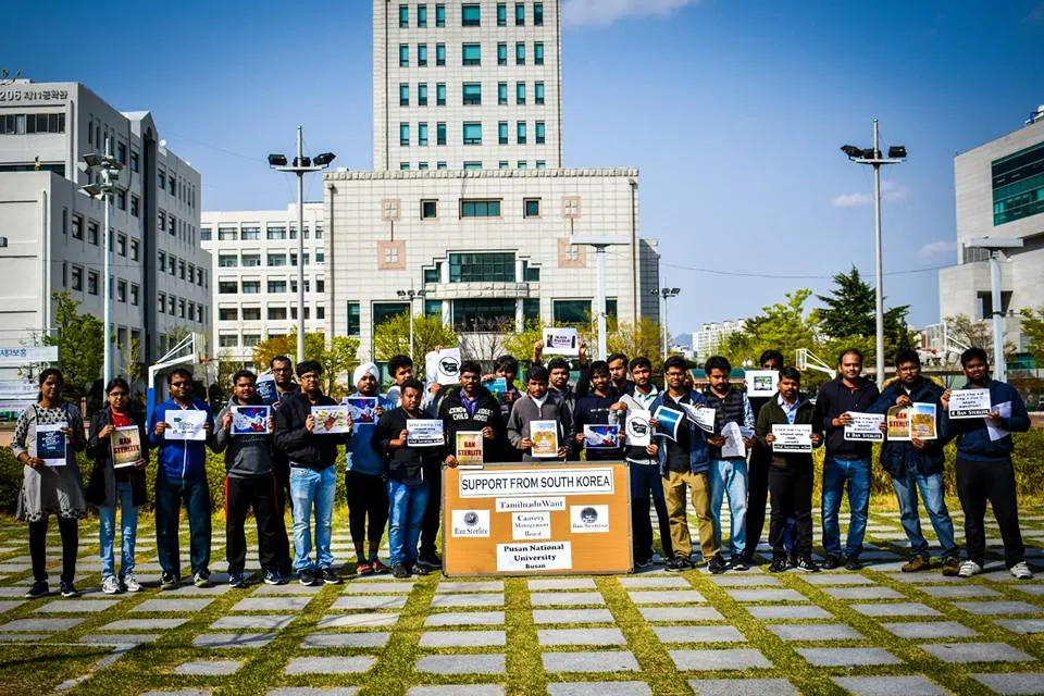 Busan Protest 
